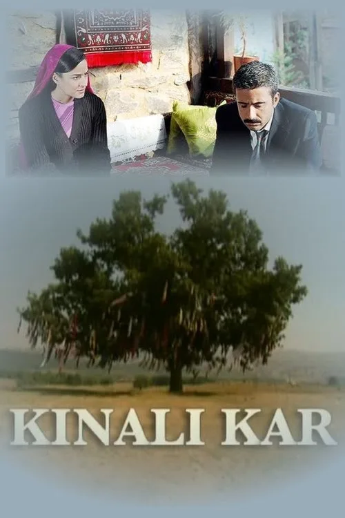 Kınalı Kar dizi posteri